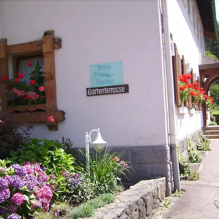 Gasthaus Zur Erle-3
