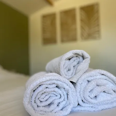 Le Patio, chambres d hôtes pour adultes en Camargue, possibilité de naturisme à la piscine,-3