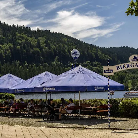 Maritim Titisee Hotel-2