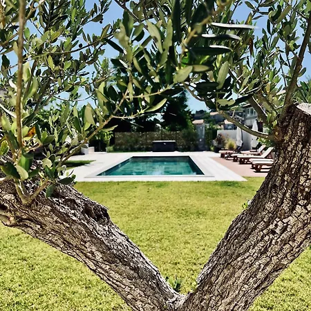 Villa Felix-3