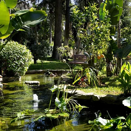 Casa Vela Boutique House & Spa-2
