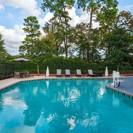Springhill Suites By Marriott Houston The Woodlands-3