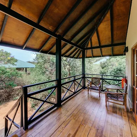Cinnamon Wild Yala-3
