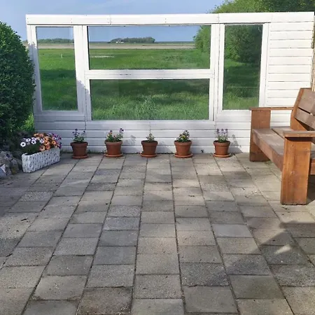 The Shed-3