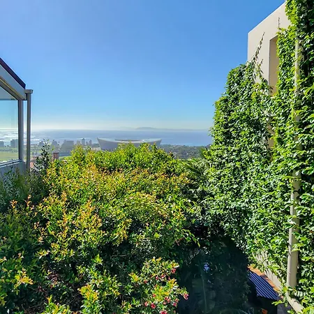 Bluegum Hill Guesthouse & Apartments-3