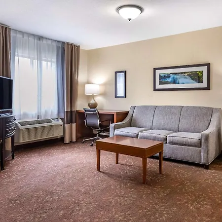 Comfort Inn Okemos - East Lansing-2