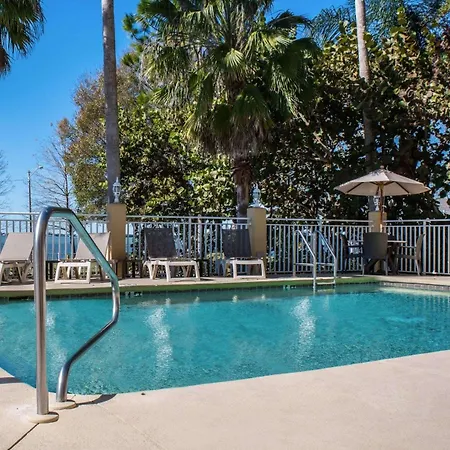 Comfort Suites Clearwater - Dunedin-3