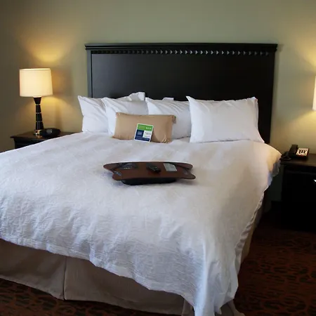 Hampton Inn Pecos-3