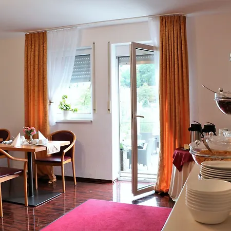 Hotel Neckarlux-2