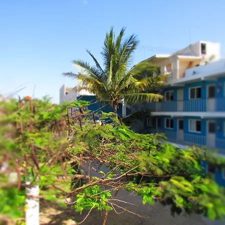 Blue Coconut Cancun Hotel-3