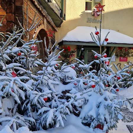 Lodge Hotel Les Rousses-2