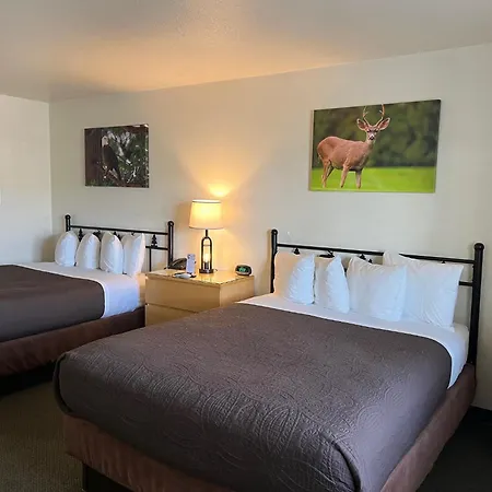 Antlers Inn-3