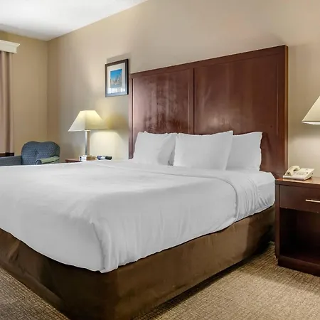Comfort Inn & Suites Seattle North-3