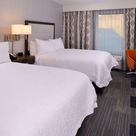 Hampton Inn & Suites Albany-East Greenbush, Ny-3