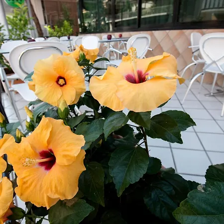 Hotel Scarlet-3