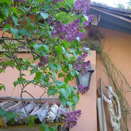 La Maison De Melen-3