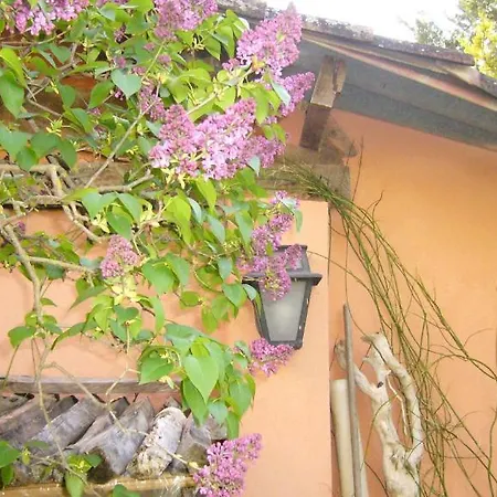 La Maison De Melen-2