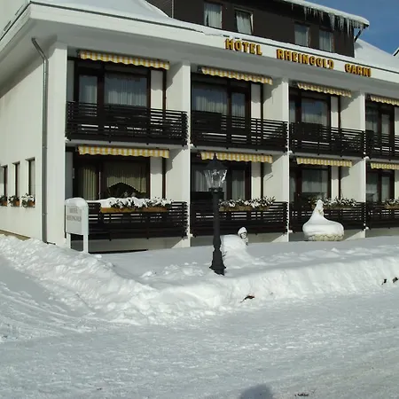 Hotel Rheingold Garni-2