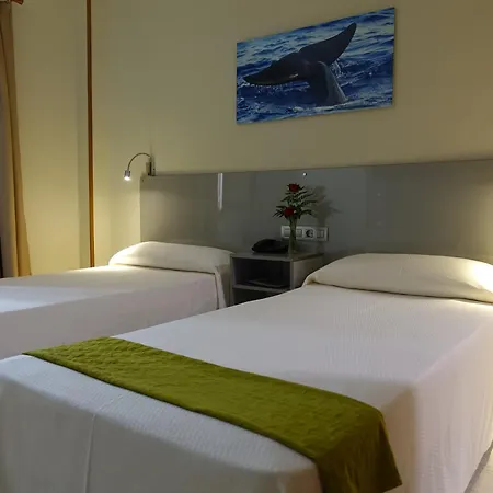Hotel Andrea'S-3