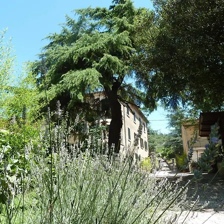 B&B Gabri-2