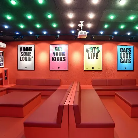 Cats Hostel Madrid Sol-2
