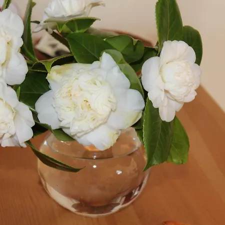 B&B Le Querce-2