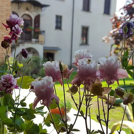 Le Quattro Stagioni B&B And Apartament-2
