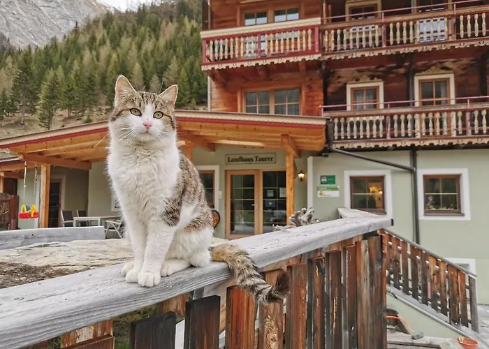 Landhaus Taurer Kals-am Großglockner