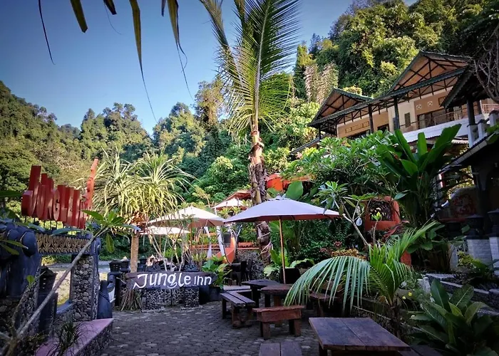 Jungle Inn Bukit Lawang