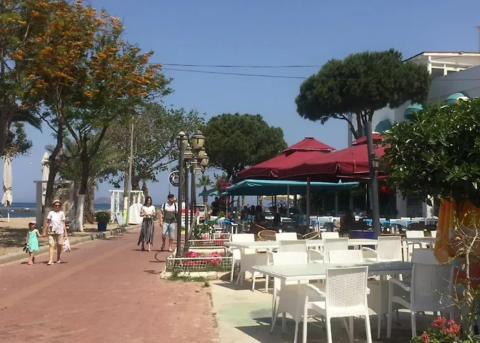 Bodrum-Turgutreis Merkezde Plaja 50 Metre Uzaklikta 1 Ve 2 Numarali Daireler