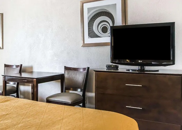 Quality Inn & Suites University-Airport