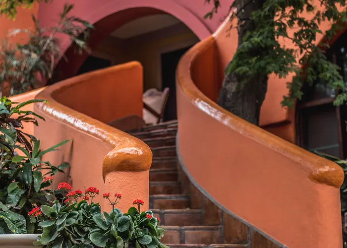 Collection O Casa Bella Hotel Boutique, Cabo San Lucas