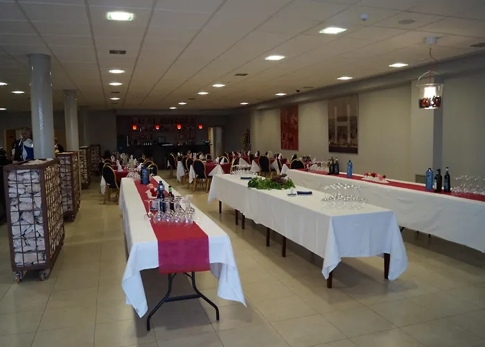Hotel Del Vino Cariñena