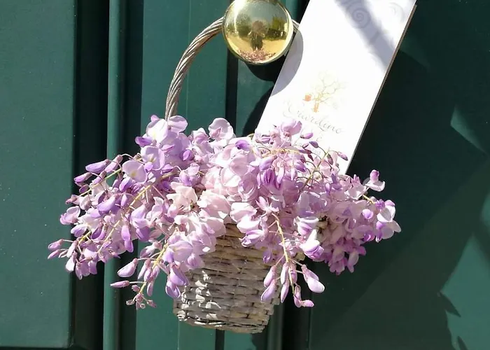 Hotel Il Giardino del Tè Barletta