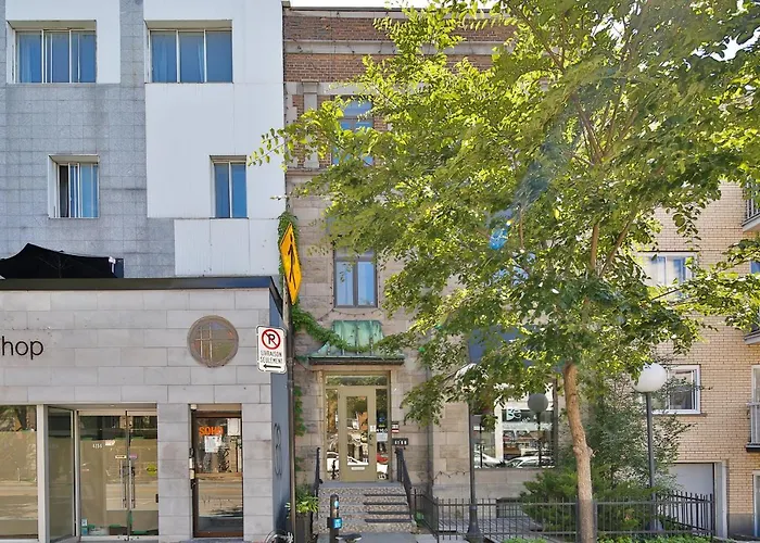 Stunning Full Apartments - Stocked Kitchens - Washer & Dryers - Workspace Provided - Fast Wifi - Located On The Famous St Denis Street - Near Metro Mont Royal