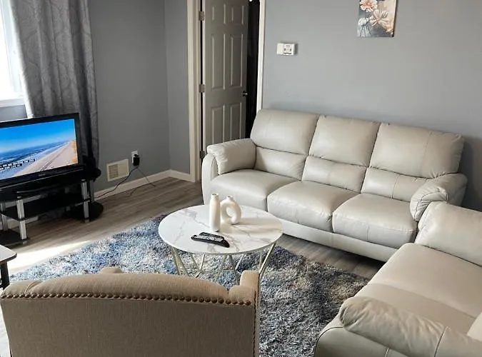 Modern One Bedroom Apartment