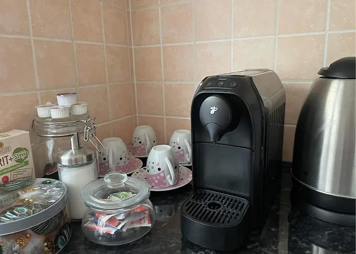 Dizike Pet-Friendly Guesthouse