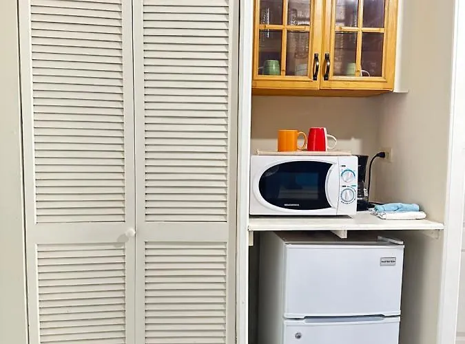 Shades Of Summer Apartments In Negril With Kitchen