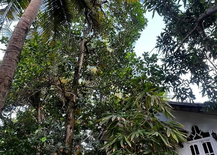 Sylvester Villa Hostel Negombo