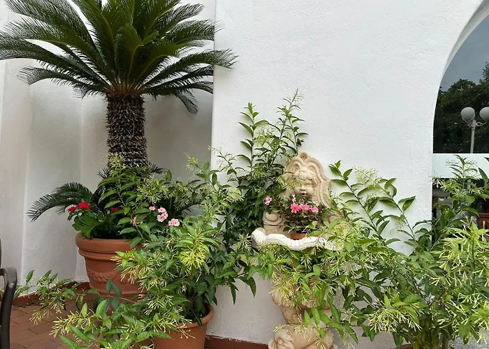 Hotel Park Calitto Forio di Ischia