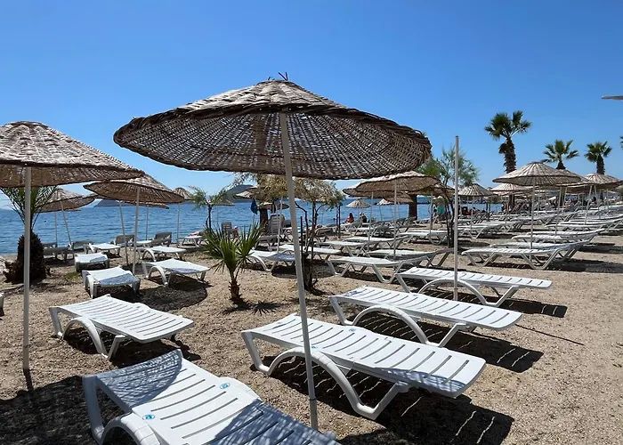 Bodrum-Turgutreis Merkezde Plaja 50 Metre Uzaklikta 1 Ve 2 Numarali Daireler