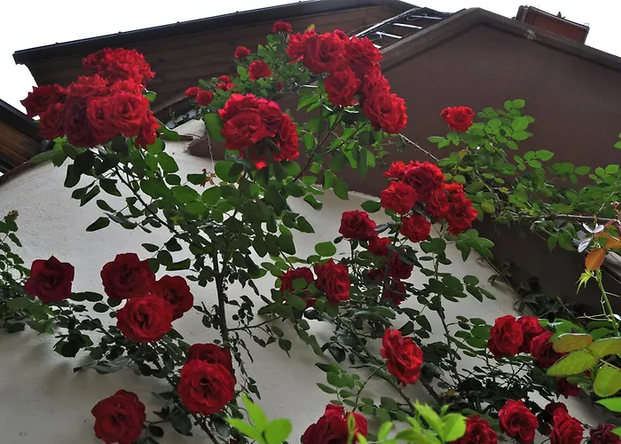 Hosteria Catalana