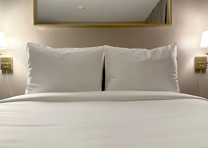 Tb Hotel Miami
