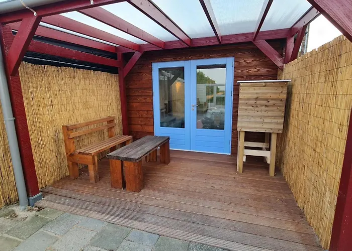 The Shed