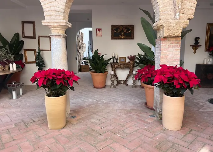 Corazón 23