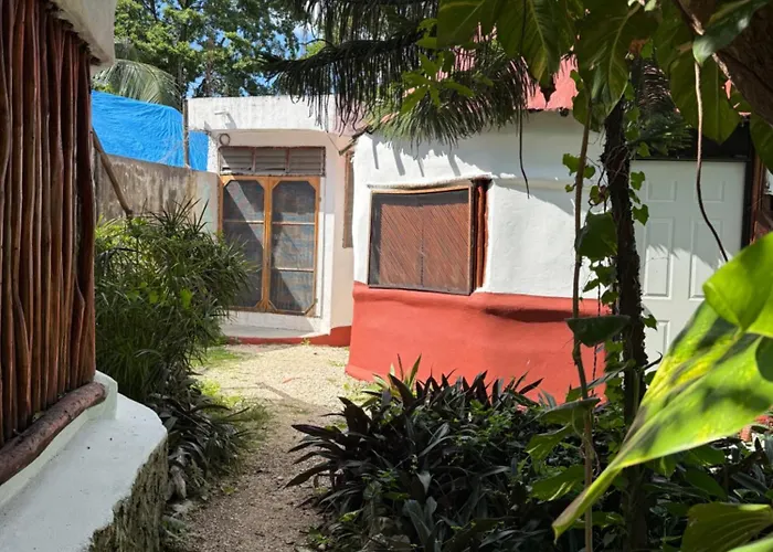 Tree House Tulum