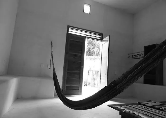 Barefoot Jungle Studios