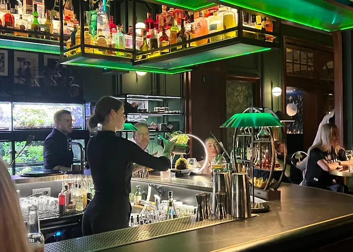 Vibe Loft Free Drink Daily By Zazi