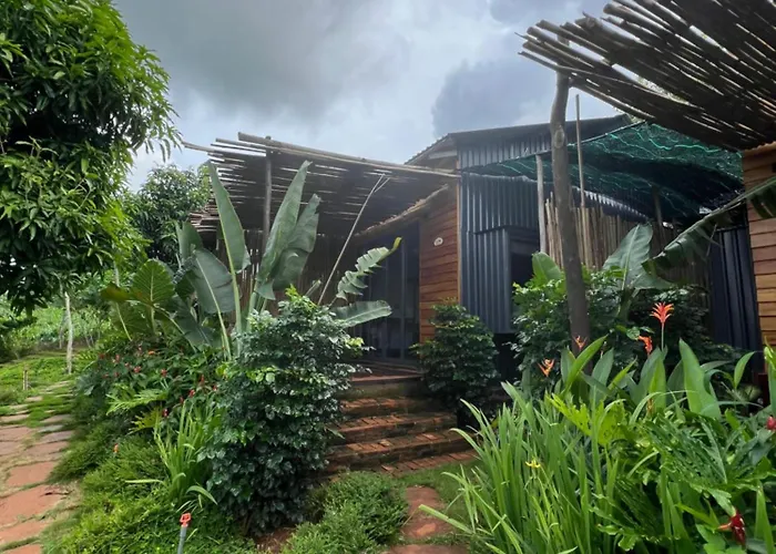 Rao Retreat