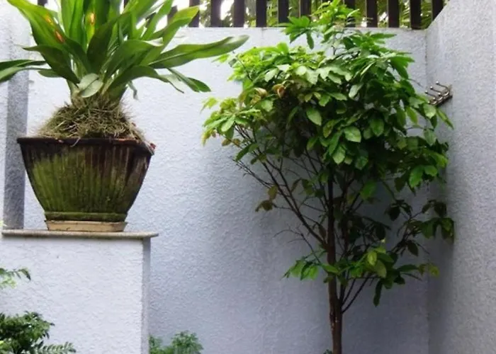 Shanti-Blissed Corner Of Saigon River'S End